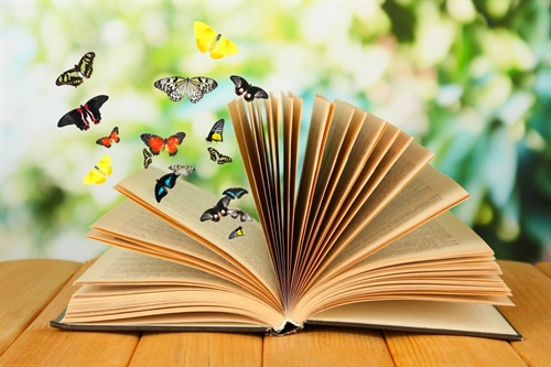 books and butterflies